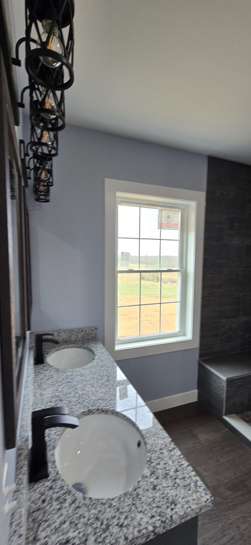 Bathroom vanity and window